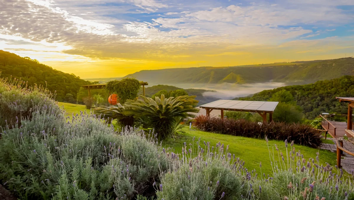 Varshana Hotel Achieved Record-Breaking Growth Just 60 Days After a Leadership Change